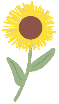 Summer Sunflower Sticker by Mrs. Mobile