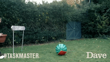 UKTVGIFBANK dave taskmaster uktv greg davies GIF