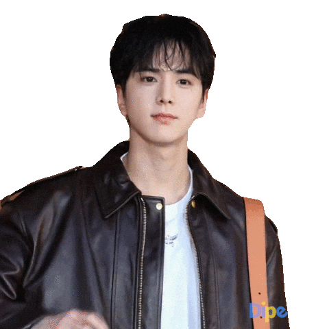 Idol Korea Sticker by koreadispatch