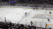 Celebration GIF by Orlando Solar Bears
