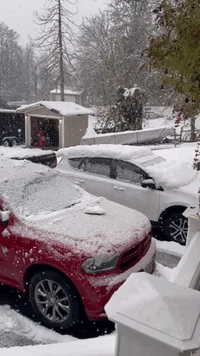Power Outages Reported in Washington State as Heavy Snow Passes Through