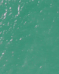From Above Ocean GIF by Chris