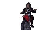 Moto Motocross Sticker by The Deegan's