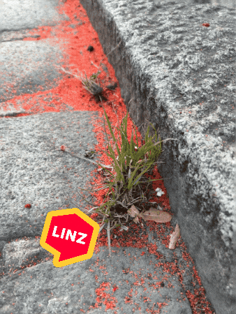 Bike Omg GIF by Linz News