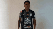 Futbol Mexicano GIF by Club Pachuca Tuzos