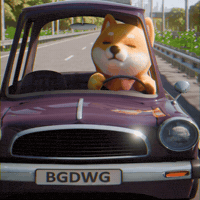 thedogefrens car annoyed driving frustrated GIF