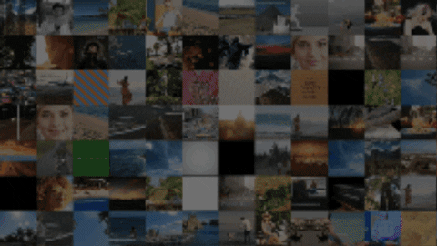 FCPeffects giphygifmaker GIF