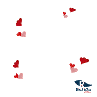 Rischioto casa ape apartamento organizacao Sticker