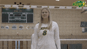 Volleyball Bison GIF by NDSU Athletics