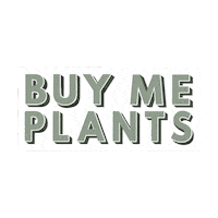 Plants Plant Mom Sticker