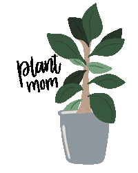 Plant Mom Sticker