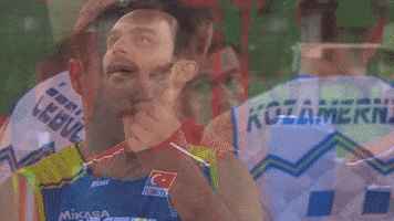 Look Reaction GIF by Volleyball World