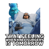 The Grinch Doctor Sticker