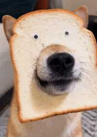 GIF by Martin