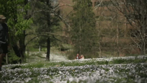 spring students GIF by Eastern Kentucky University