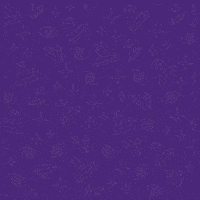 Happy Magic GIF by Learner Circle