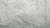Field Hockey Yaz GIF