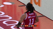 Celebrar Liga Endesa GIF by ACB