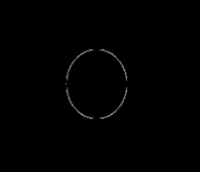 vespaclubverona verona vespaclub GIF
