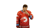 Ice Hockey Sticker Sticker by HC Oceláři Třinec