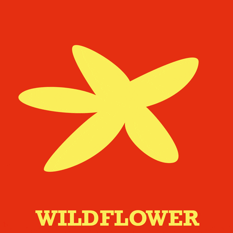 EbeltoftGaardbryggeri giphyupload wildflower ebeltoft wildfloweripa GIF