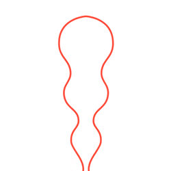 GIF by Slanted Studios