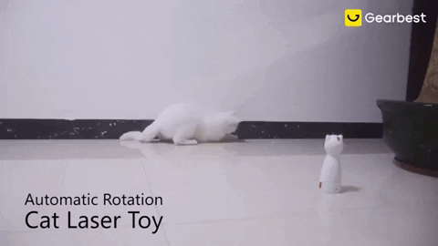 Fannab giphygifmaker GIF