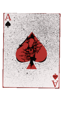 Skull Sticker