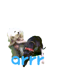 아르르 Sticker by arrr_official