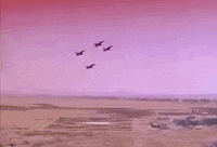 luis miguel GIF by netflixlat