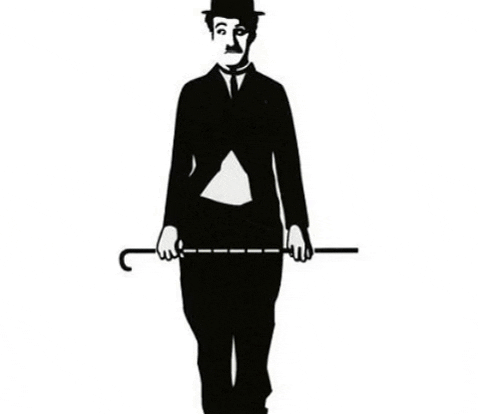 valiecevennes giphygifmaker GIF