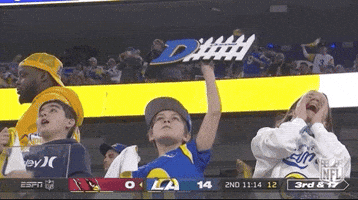 Los Angeles Rams Football GIF by NFL