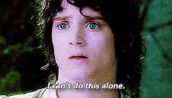 I Cant Do This Lord Of The Rings GIF