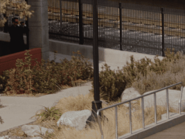 sub pop cameron dutra GIF by Sub Pop Records