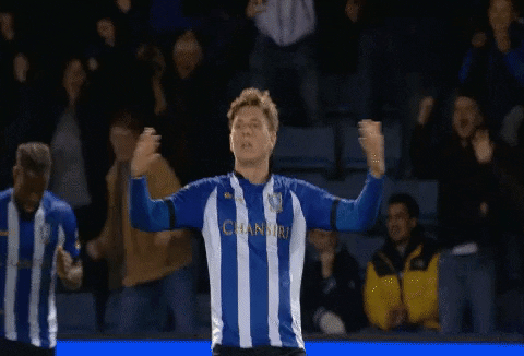 the best win GIF by Sheffield Wednesday Football Club