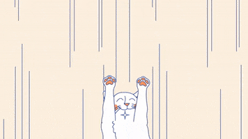 Cat Trick GIF by Juan Billy