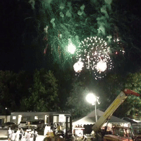 fireworks bonnaroo GIF by emibob
