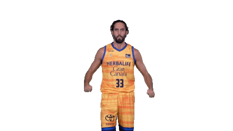 Vamos Liga Endesa Sticker by ACB