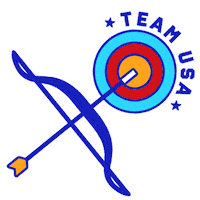 Summer Gold Sticker by Team USA