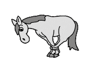 Horse Oops Sticker by Ponyfarben