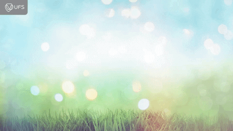 Summer Time Flowers GIF by University of the Free State