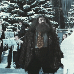 harry potter yule ball GIF