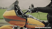 BlackBearDiner bear motorcycle bears riding GIF
