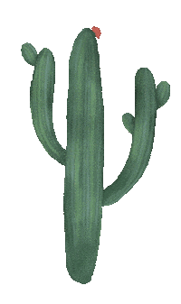 New Mexico Adventure Sticker