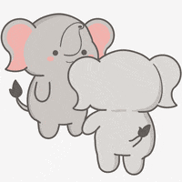 untamedelephants fight cute meme animals GIF