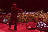 Lollapalooza Sing GIF