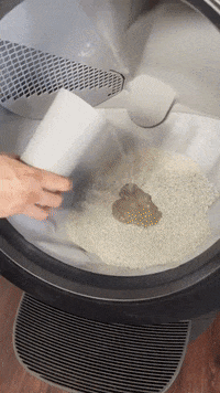 Cat How It Works GIF by Litter-Robot