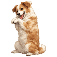 Fun Love Sticker by abana a cauda