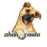 Fun Love Sticker by abana a cauda
