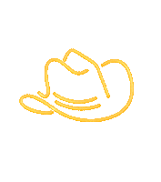 Country Music 90S Sticker by Blake Shelton